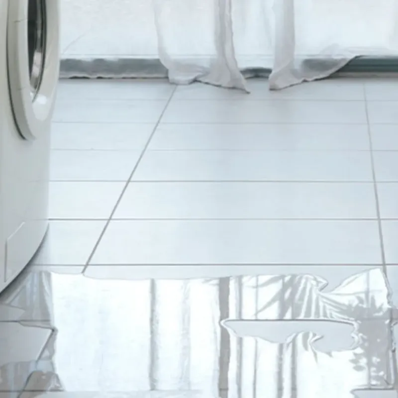 Appliance Leak Cleanup in Monroe North, WA